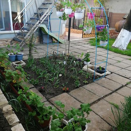 Apartmán Casa Flor Două Mai Exteriér fotografie