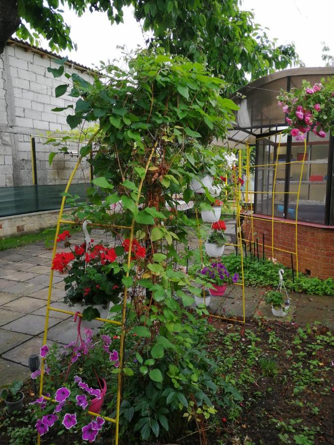 Apartmán Casa Flor Două Mai Exteriér fotografie