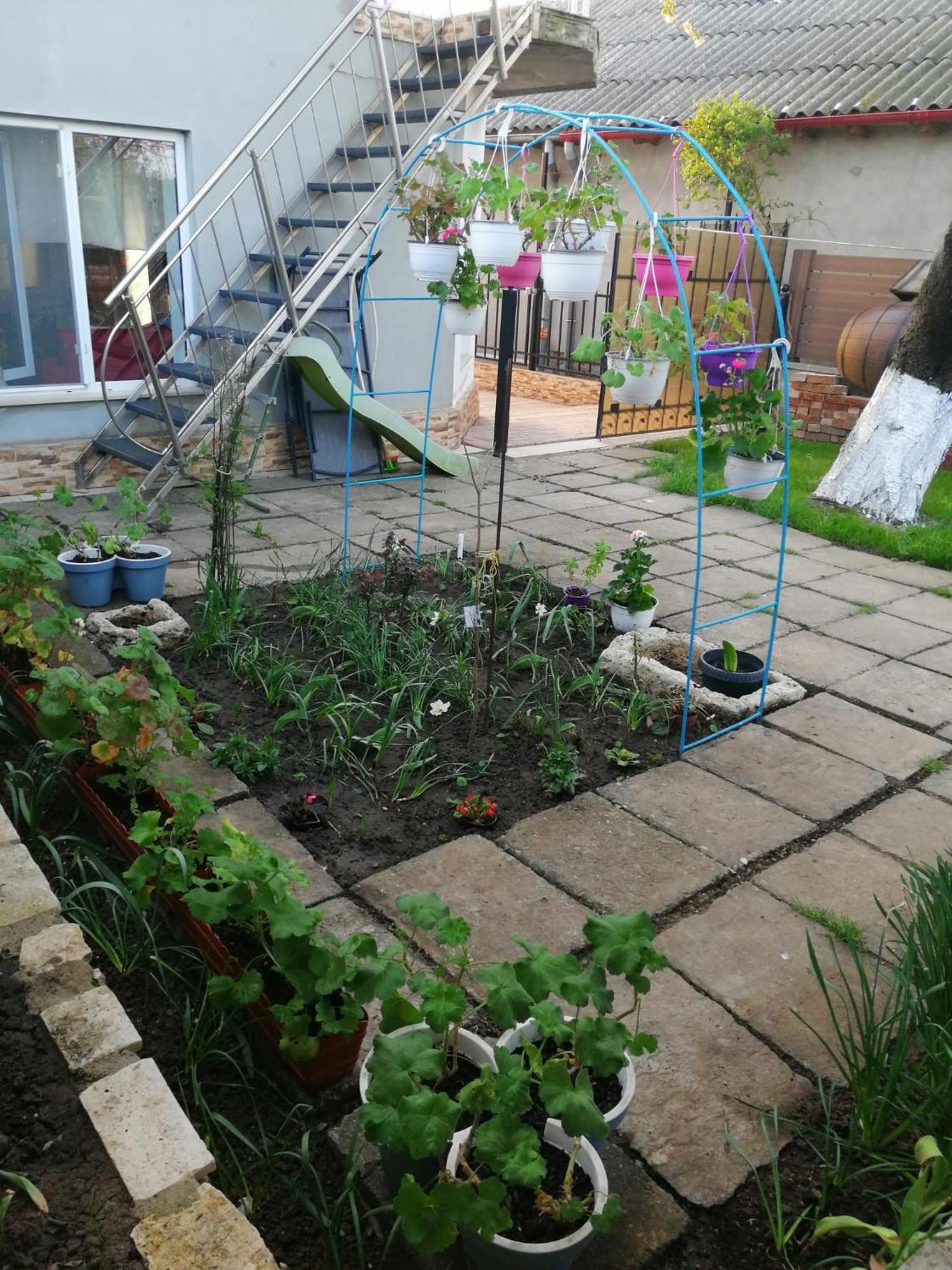 Apartmán Casa Flor Două Mai Exteriér fotografie